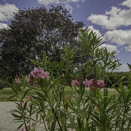 Vakantiehuis La Lusigny-sur-Barse